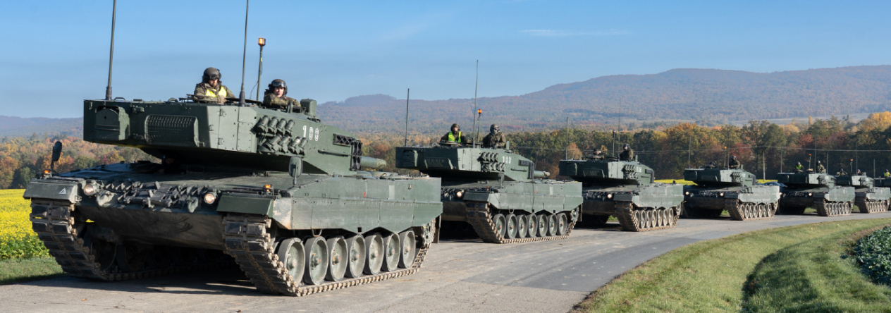 Leopard na dálnici