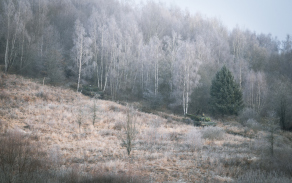 Tanky v pohybu a nekončícím výcviku