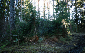 Hlavně nenápadně, rychle a pružně