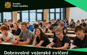 dvc