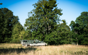 Buffel