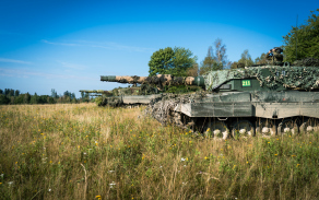 leopard1
