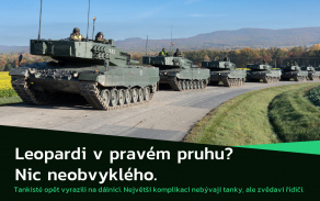 Leopard na dálnici