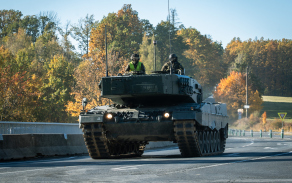 Leopard na dálnici