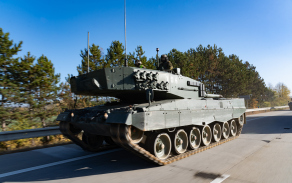 Leopard na dálnici