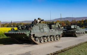 Leopard na dálnici