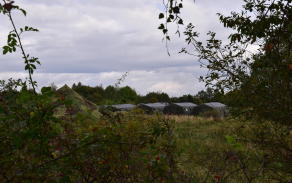 dsc_0041.jpg