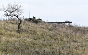 dsc_0048.jpg
