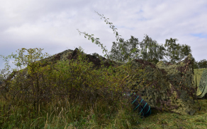 dsc_0052.jpg