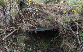 pa310217.jpg