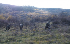 pb030020.jpg