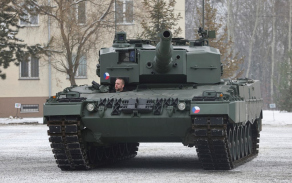 leopard.jpg